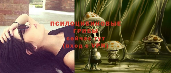 спиды Абинск